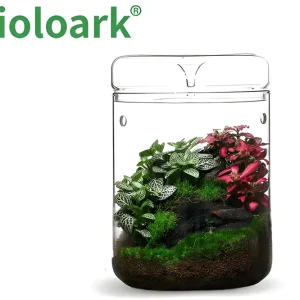 Solange Der Vorrat Reicht Bioloark Luji Glass Cup MY-120H, Biosphären-Glas